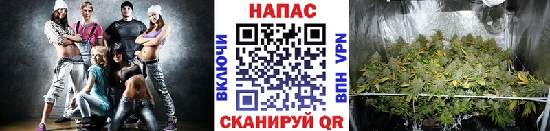 Экстази Звенигово
