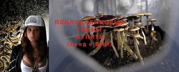 ГАЛЛЮЦИНОГЕННЫЕ ГРИБЫ Верхнеуральск