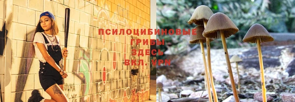 дживик Богданович