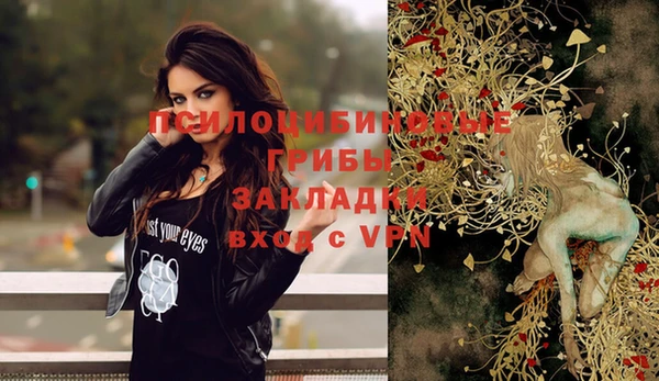 ГАЛЛЮЦИНОГЕННЫЕ ГРИБЫ Верхнеуральск